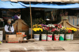 Moc Chau