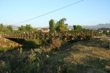Dien Bien Phu - Muong Thanh Bridge