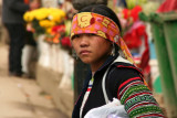 Sapa