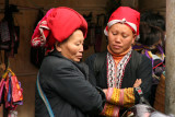 Sapa