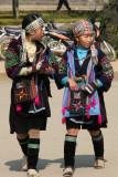 Sapa