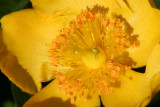 IMG_3582.JPG