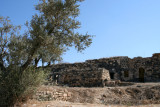 Umm Qais
