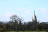IMG_7479.JPG