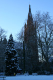 IMG_7563.JPG