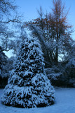 IMG_7564.JPG