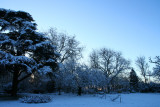 IMG_7574.JPG