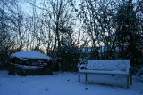 IMG_7589.JPG