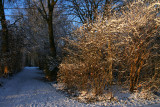 IMG_7593.JPG