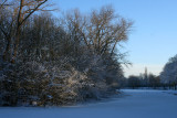 IMG_7629.JPG