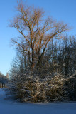 IMG_7632.JPG