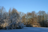 IMG_7637.JPG
