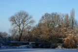 IMG_7650.JPG