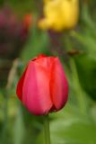 IMG_6570.JPG