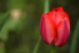 IMG_6585.JPG