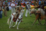 IMG_8959.JPG