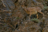 IMG_9406.JPG