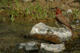 IMG_9413.JPG