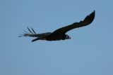 IMG_9846.JPG