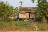 IMG_5810.JPG