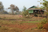 IMG_5813.JPG