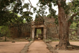 IMG_6562.JPG