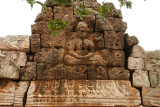 IMG_6564.JPG