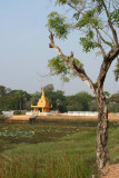 IMG_6600.JPG