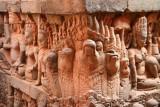 Elephants Terrace