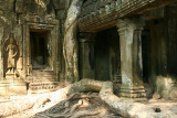Ta Prohm