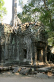 Ta Prohm
