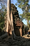 Ta Prohm