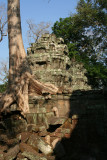Ta Prohm