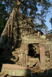 Ta Prohm