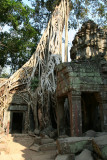 Ta Prohm
