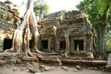 Ta Prohm