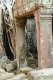 Ta Prohm
