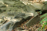 Kbal Spean