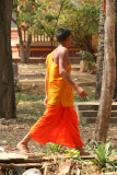 IMG_5879.JPG