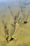 Sand Wake