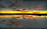 Fading of the Light