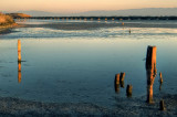 Pilings and a Trestle