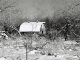 Winter Barn