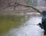 SalmonFishing7.jpg