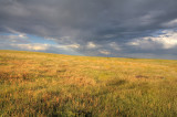 Pawnee National Grassland