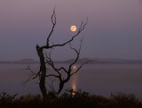Moonscape, Tule Lake National Wildlife Refuge, California, 2008