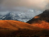 Winter landscape, near Logan, Utah, 2008