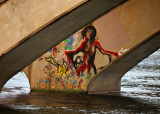 Spirit, Lady Bird Lake, Austin, Texas, 2009