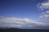 Flight, Victoria, British Columbia, Canada, 2009