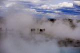 Hot springs, Yellowstone National Park, Wyoming, 2010